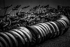Platz 2 "Auto und Fahrrad" von Birgit Rilk