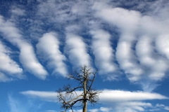 Wolken Hubert Blockinger 2. Platz