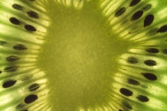 Kiwi (Foto: Alois Komenda)