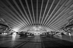 Estacion Oriente (Foto: Andreas Ochsenkühn)