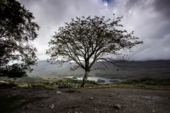 Ladys view (Foto: Andreas Ochsenkühn)
