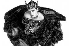 Schwarze Witwe (Foto: Andy Ilmberger)
