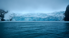 Point Wild auf Elephant Island - © Stefan Ißmer