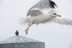 Abflug (Foto: Birgit Rilk)