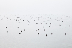 Stille (Foto: Birgit Rilk)