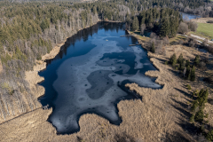 Eizenberger Weiher - © Johannes Schlandt