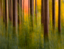 Landschaft abstrakt Platz 1: Katja Pohl