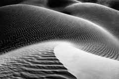 Platz 5: Peter Schreyer