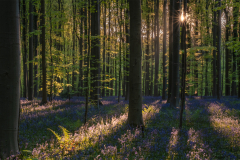 Helga Orterer: Platz 3 bei Licht und Schatten
