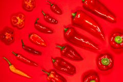 Paprika und Chili (c) Sandra Ilmberger