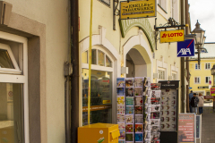 Etwas Gelbes (Foto: Manfred Kersten)