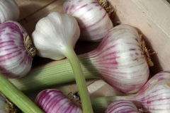 Etwas zum Essen (Foto: Marion Uebbing)