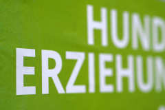Etwas, das mit "E" beginnt (Foto: Tanja Schulte)