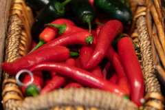 6.) Etwas Rotes, das essbar ista (Foto: Andy Ilmberger)