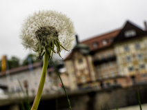 5.) Ungewöhnlicher Blickwinkel (Foto Gisela Moutschka)