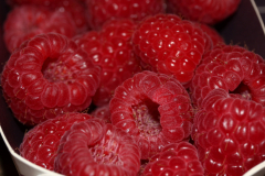 6. Etwas Rotes, das man essen kann (Foto: Marion Uebbing)