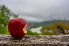 6.) Etwas Rotes, das man essen kann (Foto: Sandra Ilmberger)