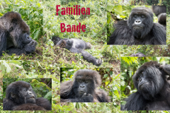 Familienbande ( (c) Peter Schreyer)