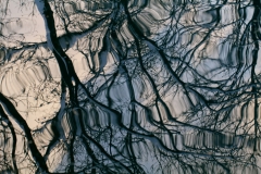 Spiegelung (Foto: Gisela Moutschka)