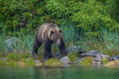 Impressionen aus "Odyssee der Naturfotografie" von Karl Seidl 