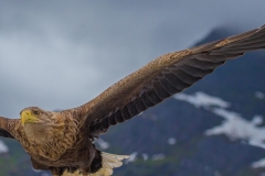 Norwegen