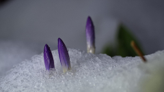 (c) Karsten Schulze
