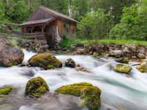 KatjaPohl_Natur_IMG_5347