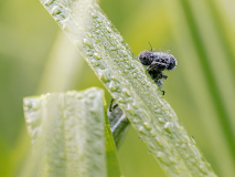 KatjaPohl_Natur_P6145186