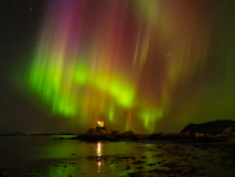 Lofoten Polarlicht (c) Katja Pohl