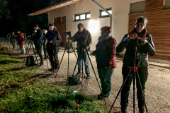 Zunächst muss die Kamera richtig eingestellt sein