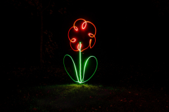 (c) Klaus Rühling