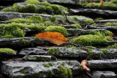 Marion_Uebbing_Details_17a