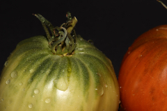 Marion_Uebbing_Details_3b_web