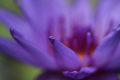 Marion_Uebbing_Natur_2b