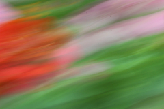Marion_Uebbing_Natur_37b
