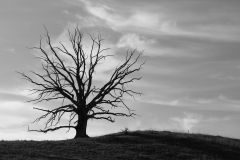 Marion_Uebbing_Natur_IMG_7797-2