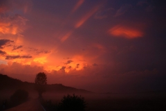 Foto: Marion Uebbing