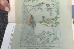 FCW-Ausflug-2019_Tom-Hirschmann-02