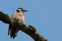 FCW-Ausflug-2019_Tom-Hirschmann-03