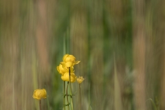 FCW-Ausflug-2019_Tom-Hirschmann-05