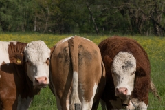 FCW-Ausflug-2019_Tom-Hirschmann-06