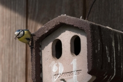 FCW-Ausflug-2019_Tom-Hirschmann-08