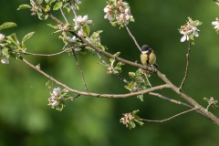 FCW-Ausflug-2019_Tom-Hirschmann-10