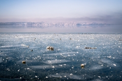 Starnberger See (Foto: Niklas Neubauer)