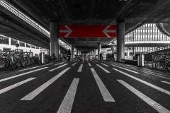 Zürich (Foto: Niklas Neubauer)