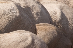 Afrika (Foto: Peter Schreyer)