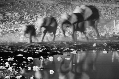 Afrika (Foto: Peter Schreyer)