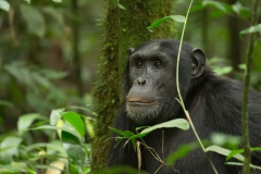 Afrika (Foto: Peter Schreyer)