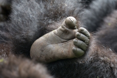 Afrika (Foto: Peter Schreyer)
