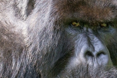 Afrika (Foto: Peter Schreyer)